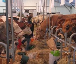 Foire de Dijon : La ferme de Côte-d’Or pour vivre l’agriculture «en vrai»
