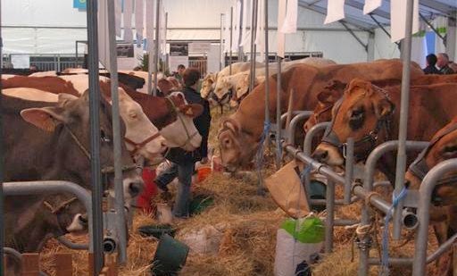 Foire de Dijon : La ferme de Côte-d’Or pour vivre l’agriculture «en vrai»